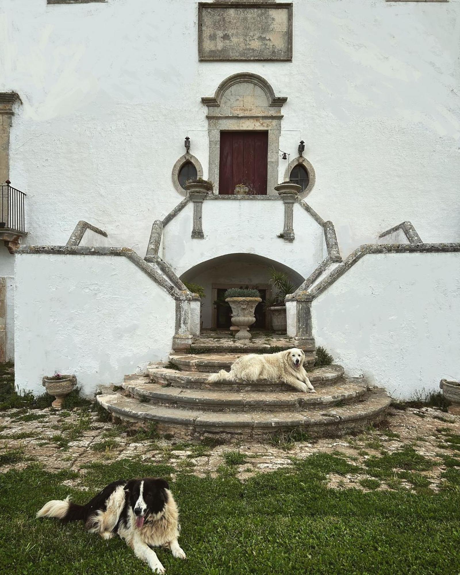 Bed and Breakfast Masseria Murgia Albanese Ночи Экстерьер фото