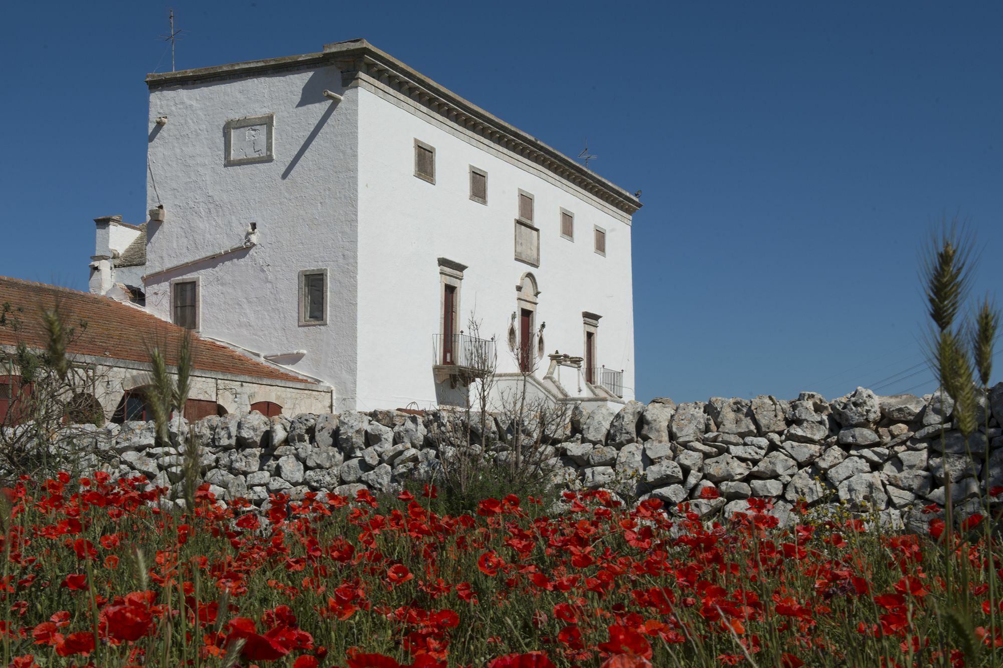 Bed and Breakfast Masseria Murgia Albanese Ночи Экстерьер фото